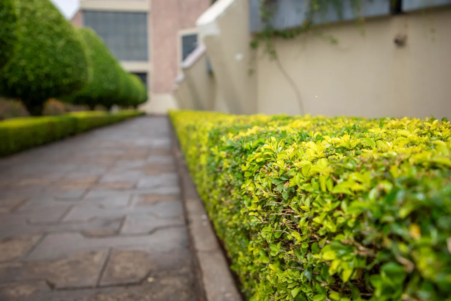 Gartenpflege & rund ums Haus